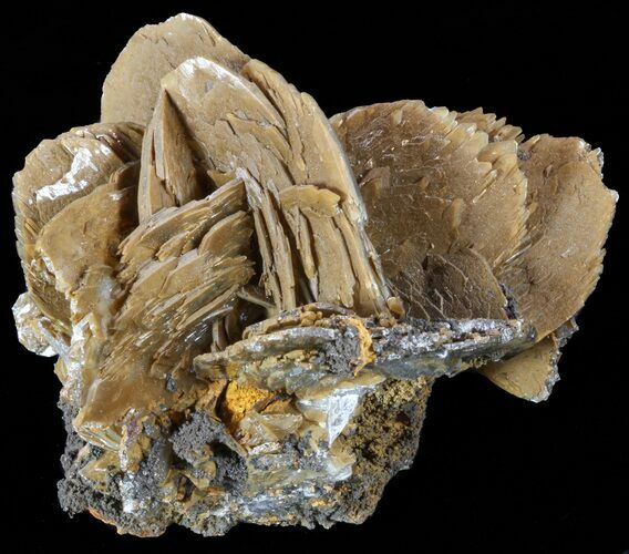 Limonite Coated, Bladed Barite Cluster - Morocco #57236